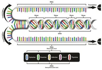 NGS Data  Microarray